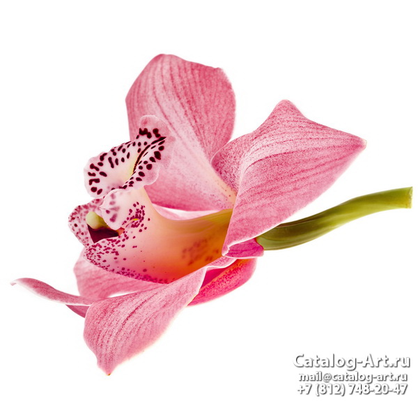 картинки для фотопечати на потолках, идеи, фото, образцы - Потолки с фотопечатью - Розовые орхидеи 49